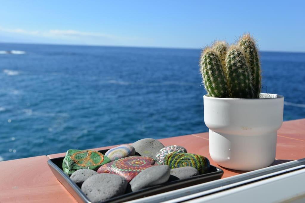 Beachfront Apartment - Tacoronte Santa Cruz de Tenerife Ngoại thất bức ảnh